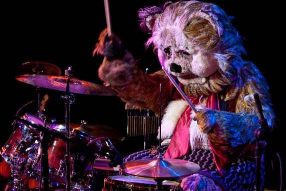 The Drumming Bear